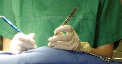 Läserchirurgie im tiermedizinischem Einsatz